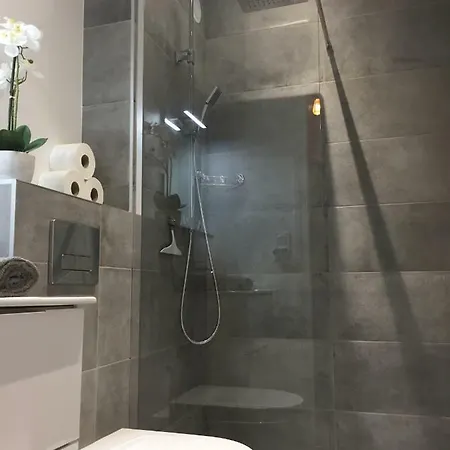 Les Mermes A 10mn De Geneve Апартаменты